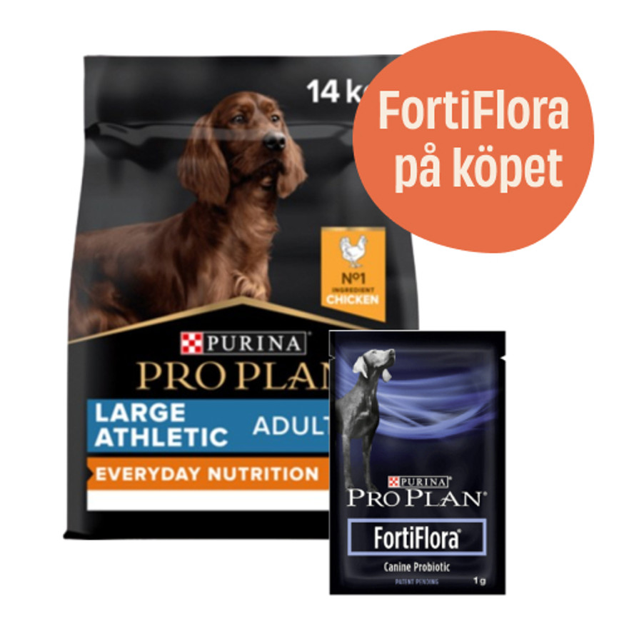 Large Adult Athletic Everyday Nutrition hundfoder + 7-pack FortiFlora