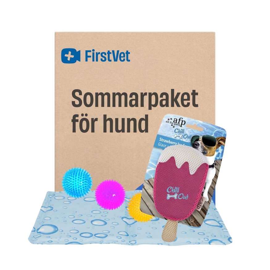 Sommarpaket för hund