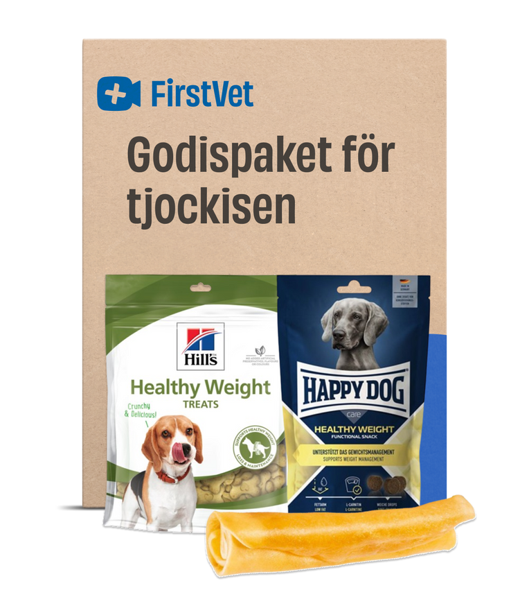 Godispaket för tjockisen Hund