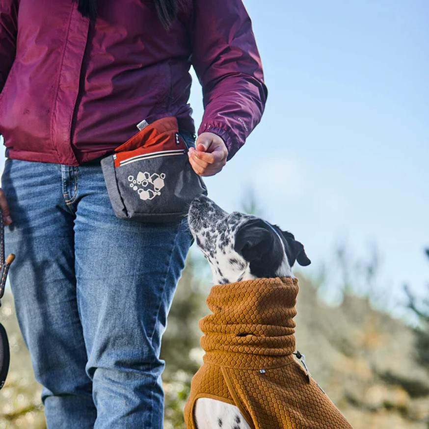 ECO Godispåse till Hund