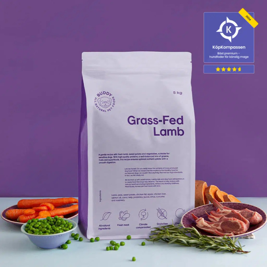 Grass-Fed Lamb Torrfoder för Hund