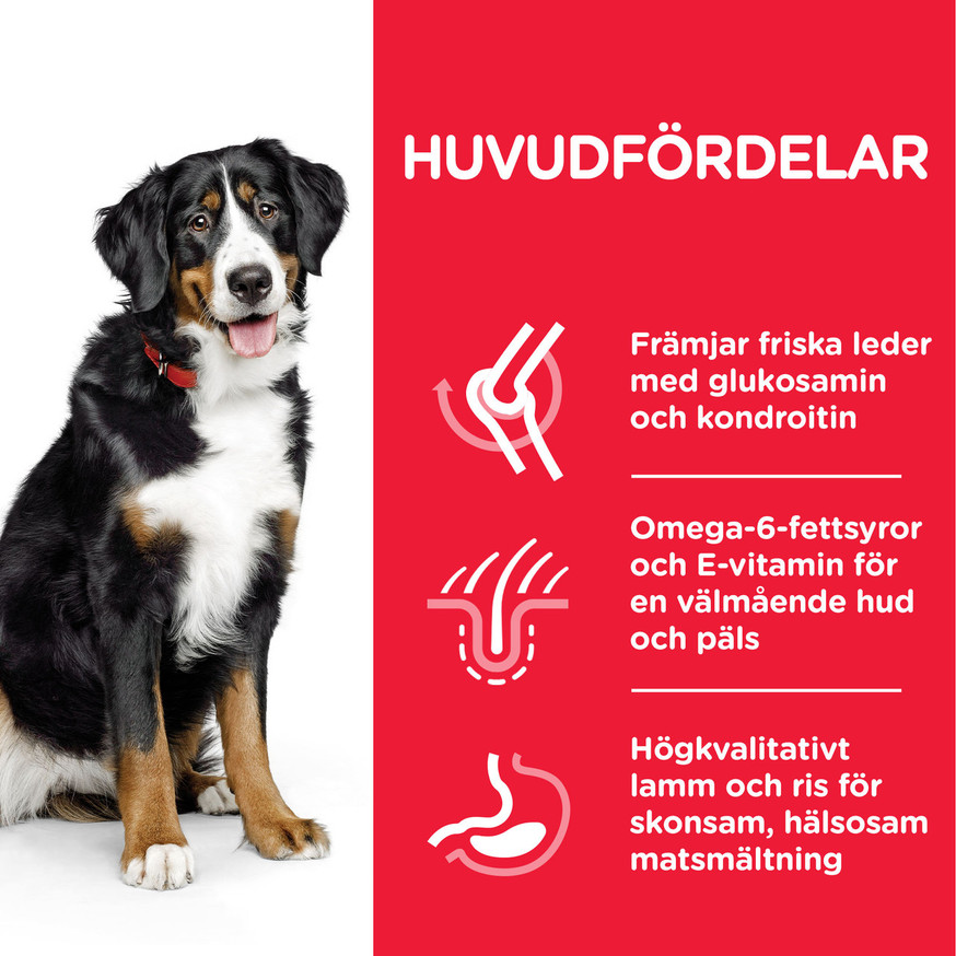 2 st Adult Large Breed torrfoder med lamm och ris Hundfoder 14 kg