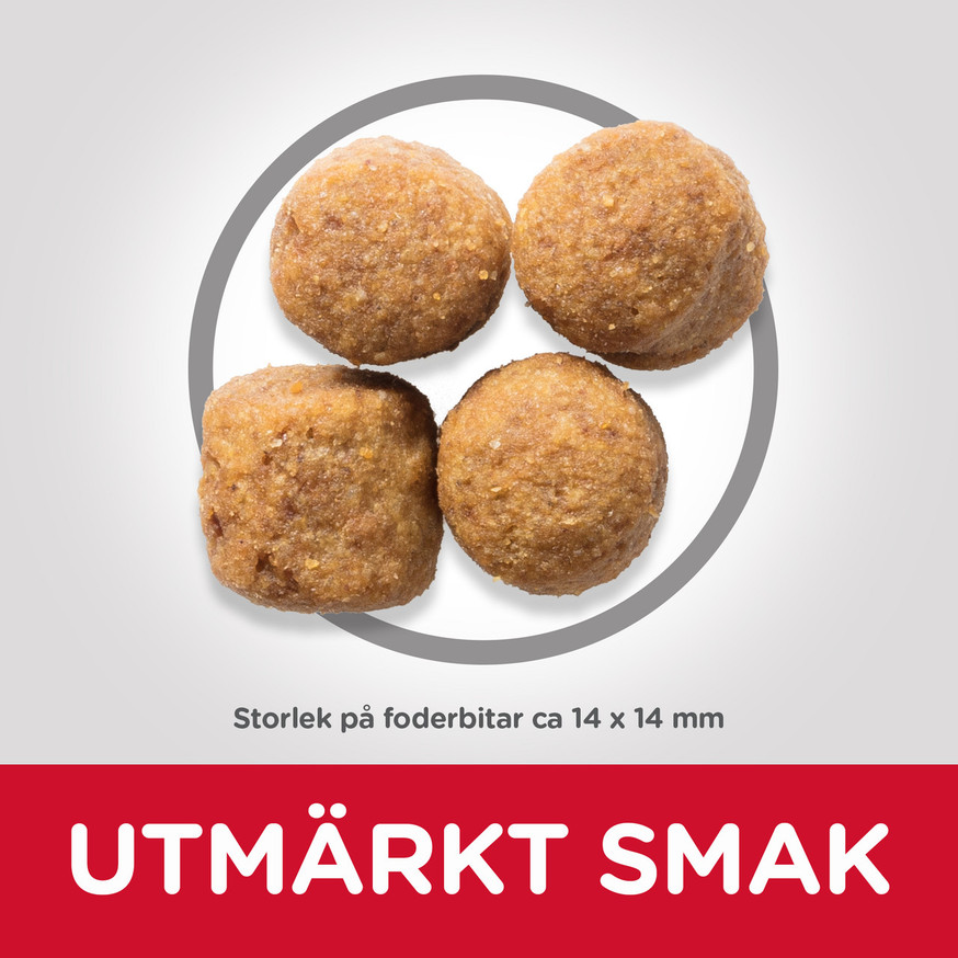 2 st Adult Large Breed torrfoder med lamm och ris Hundfoder 14 kg