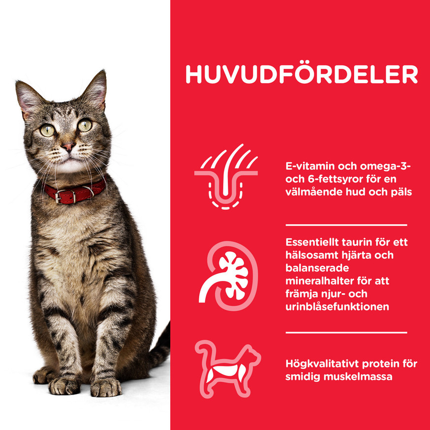 2 st  Adult torrfoder med kyckling för katt 10 kg