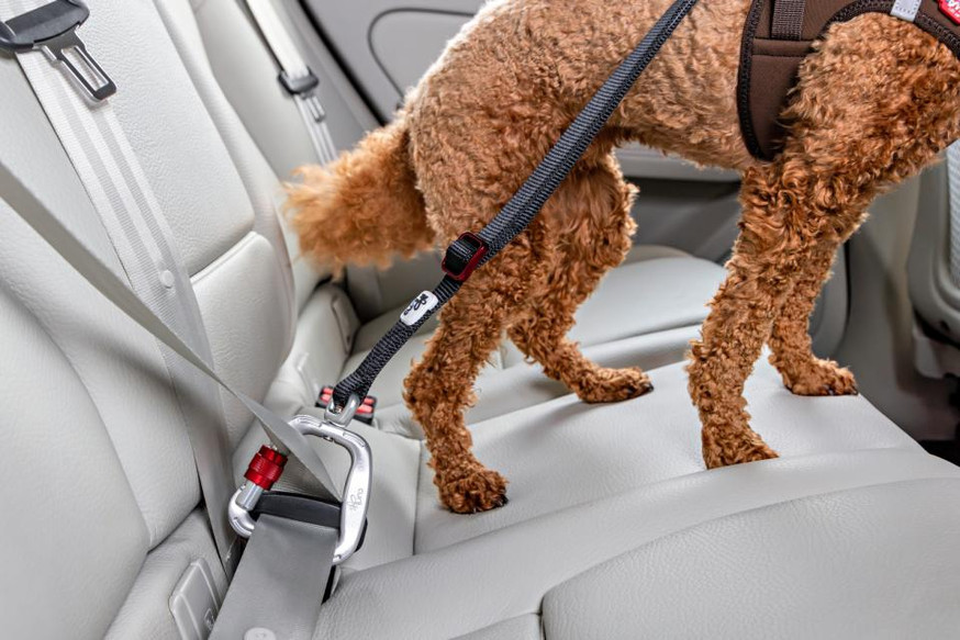 Car Safety Belt Säkerhetsbälte 2.0 till Hund