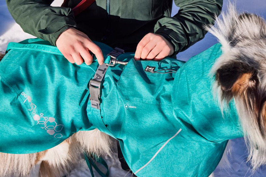 Monsoon Coat Peacock ECO II - Regnjacka till Hund