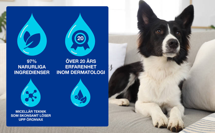 Douxo SPA Dewaxing öronrengöring för Hund och Katt