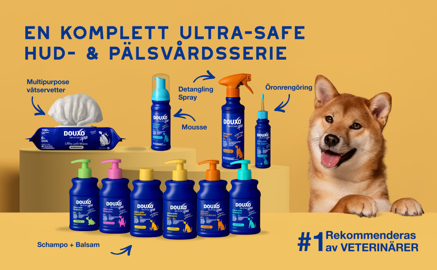 Douxo SPA Hydrating schampo för Hund