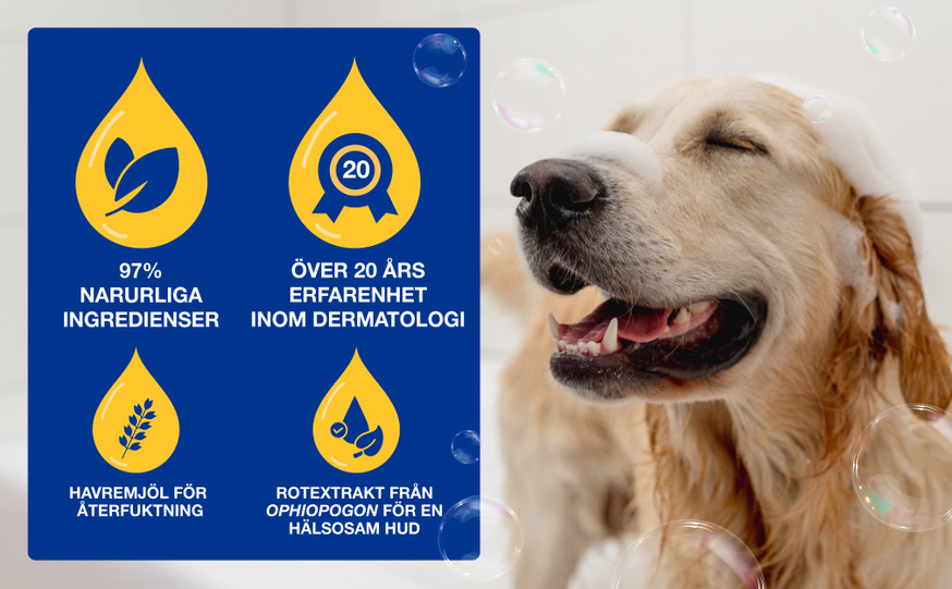 Douxo SPA Hydrating schampo för Hund
