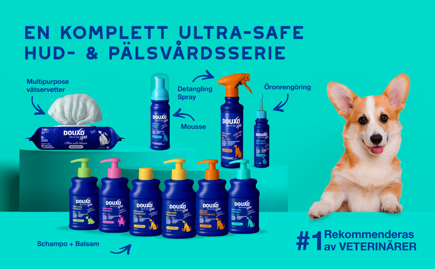 Douxo SPA Odor Control schampo för Hund