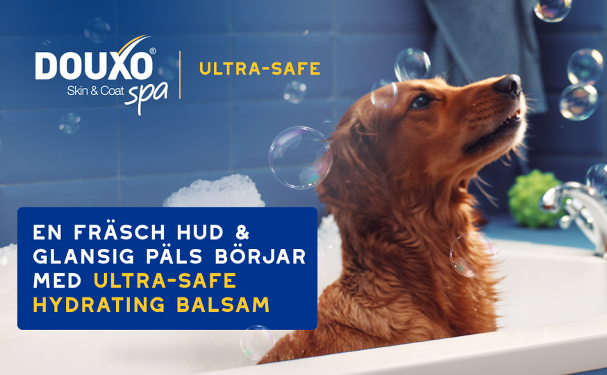 Douxo SPA Hydrating balsam för Hund