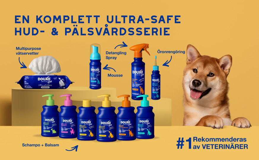 Douxo SPA Hydrating balsam för Hund