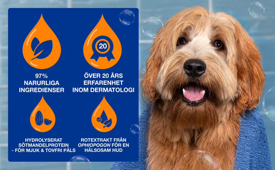 Douxo SPA 2-in-1 schampo & balsam för Hund