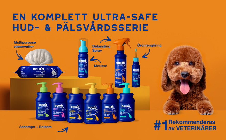 Douxo SPA Detangling spray för Hund