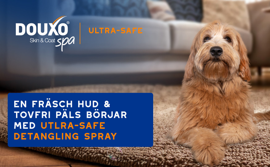 Douxo SPA Detangling spray för Hund
