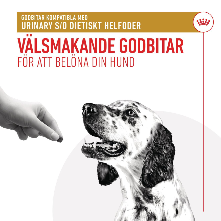 Veterinary Diets Urinary S/O Treats för hund