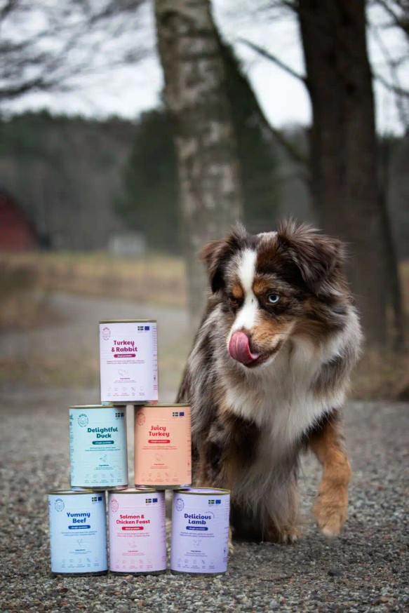 Salmon & Chicken Feast Våtfoder för Hund