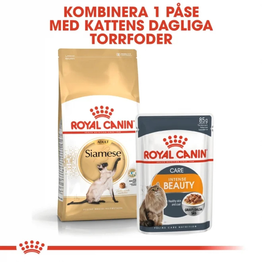Siamese Adult Torrfoder för katt