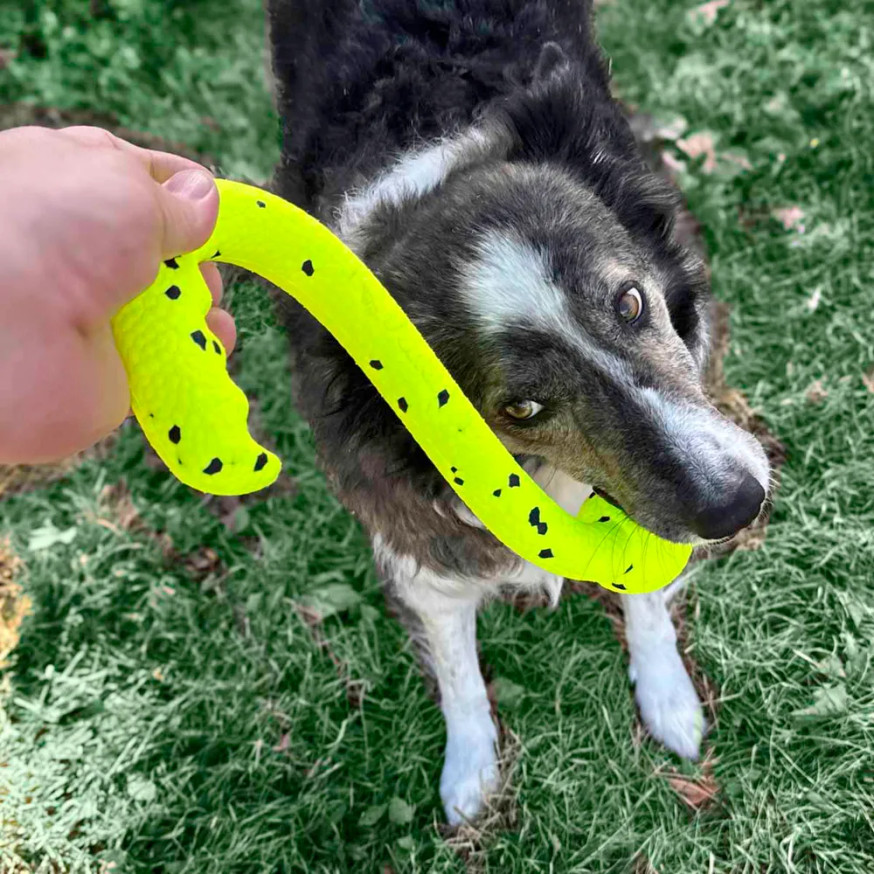 KONG Reflex Tug 'N Fetch Hundleksak