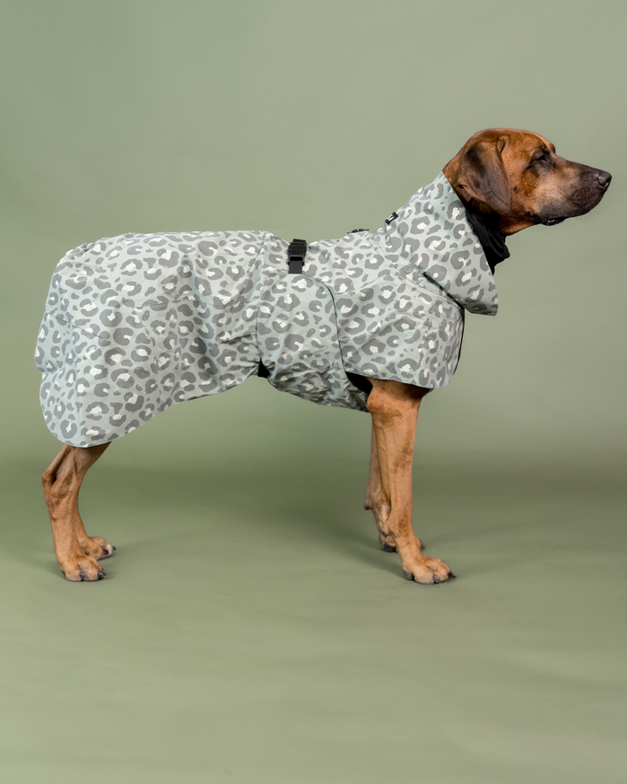 Reflekterande Regnjacka till hund Grön