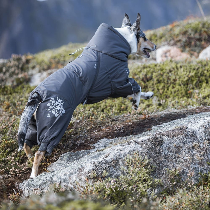 Extreme Hundoverall Vinröd