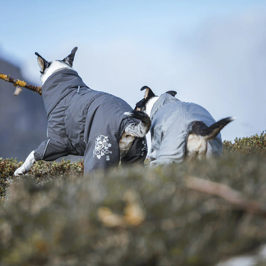 Extreme Hundoverall Vinröd