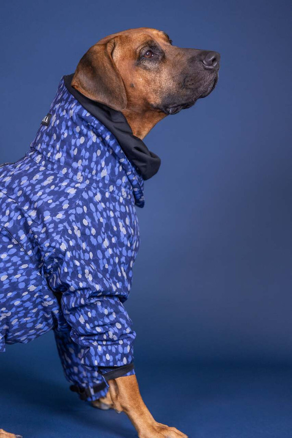 Vinteroverall till hund, blå