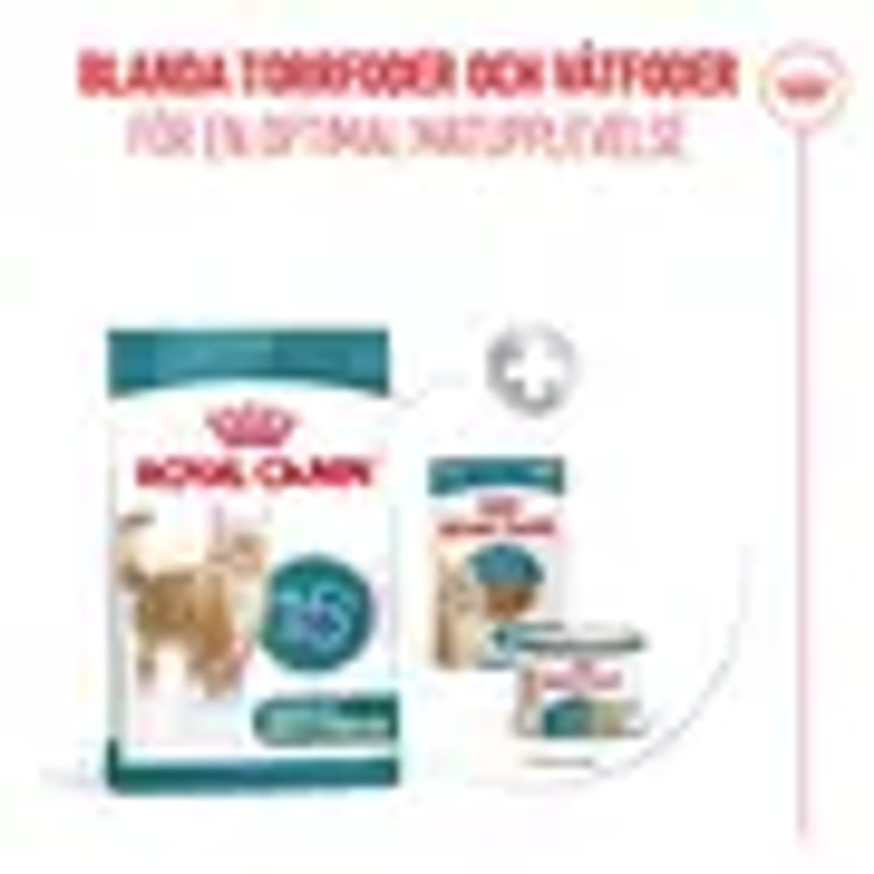 Ageing 15+ Torrfoder för katt