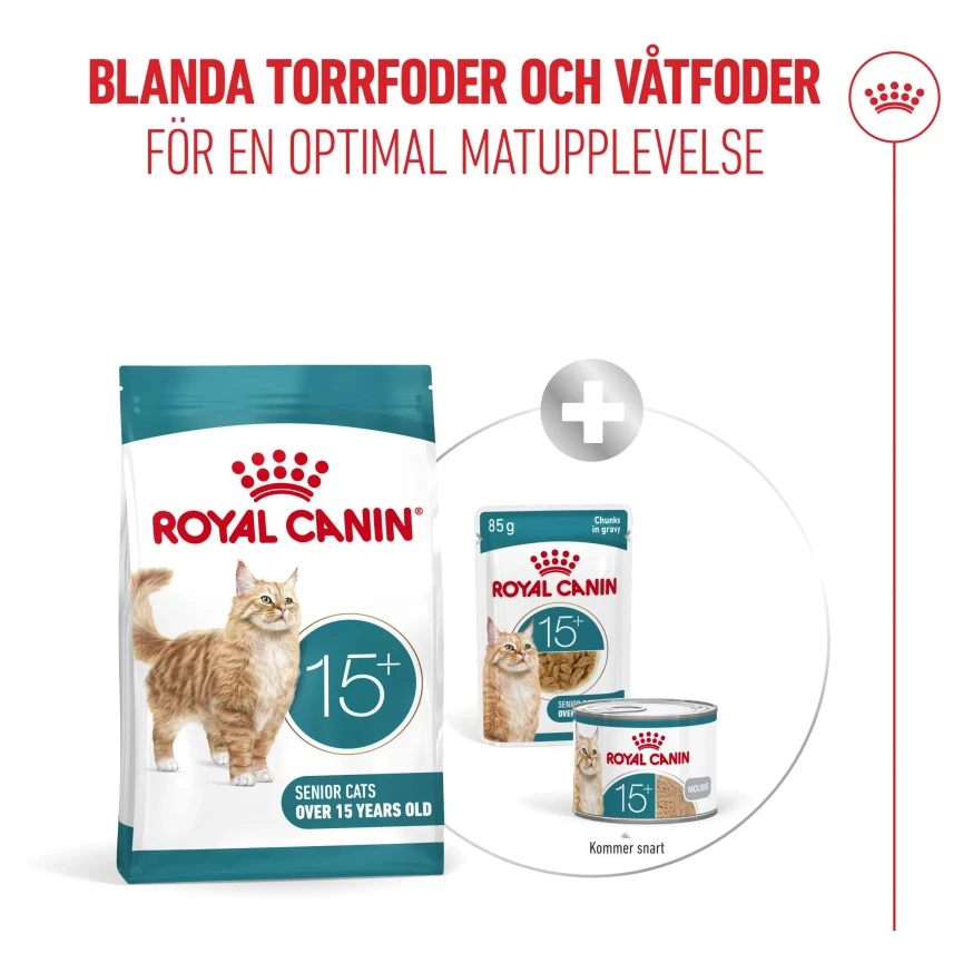 Ageing 15+ Torrfoder för katt