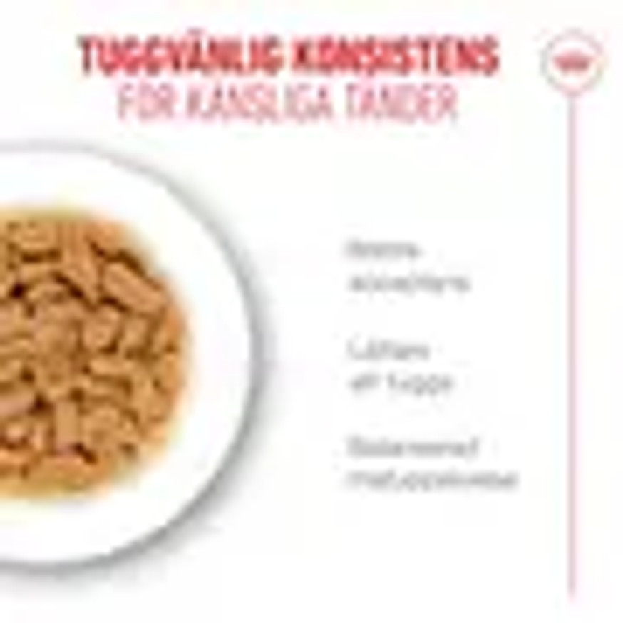 Ageing 15+ Våtfoder för katt