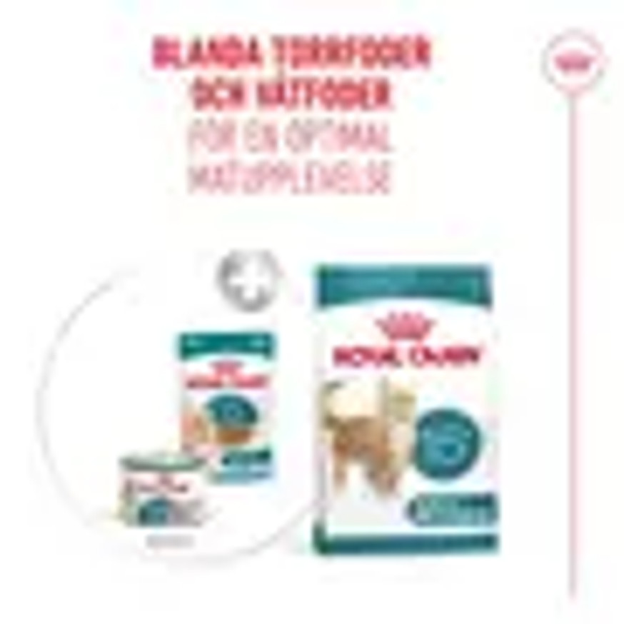 Ageing 15+ Våtfoder för katt