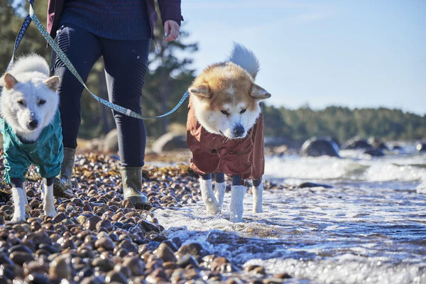 Mudventure Overall ECO Peacock