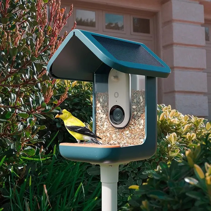 BirdBuddy Smart Fågelmatare med Solpanel