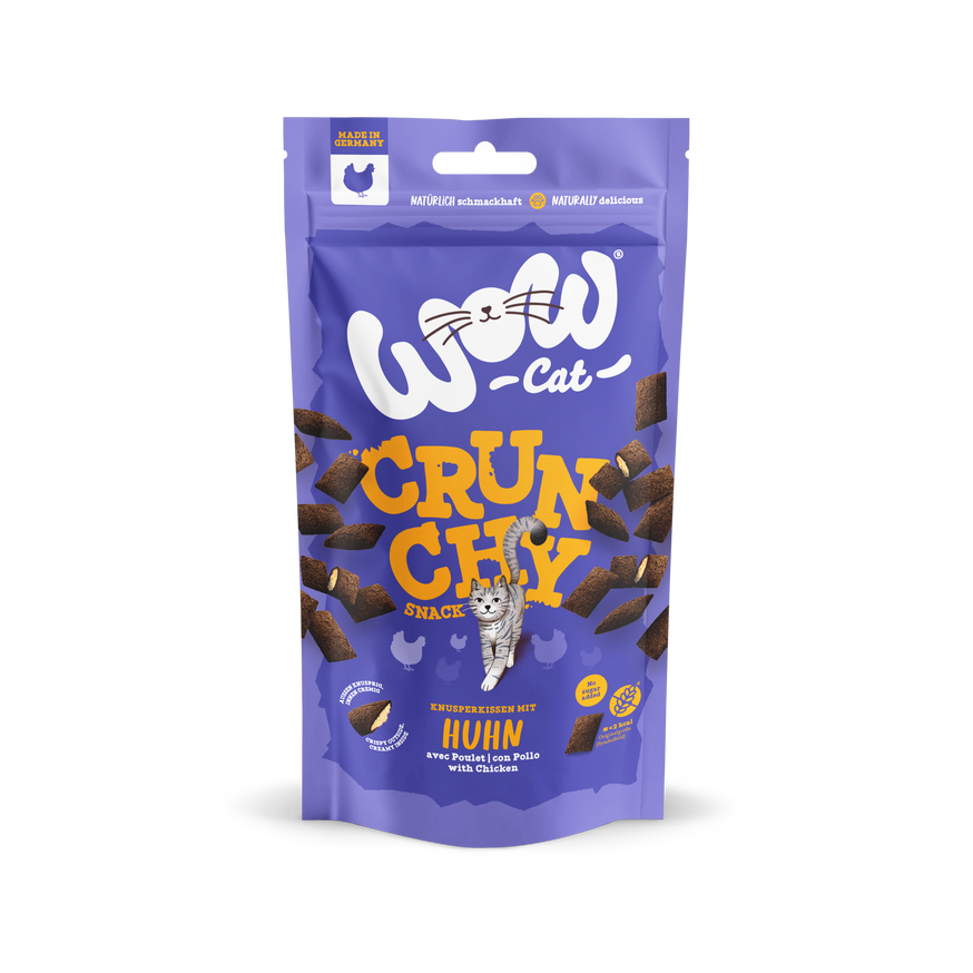 Crunchy Snack Chicken Kattgodis
