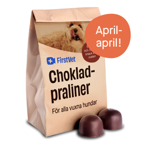 FirstVet Chokladpraliner