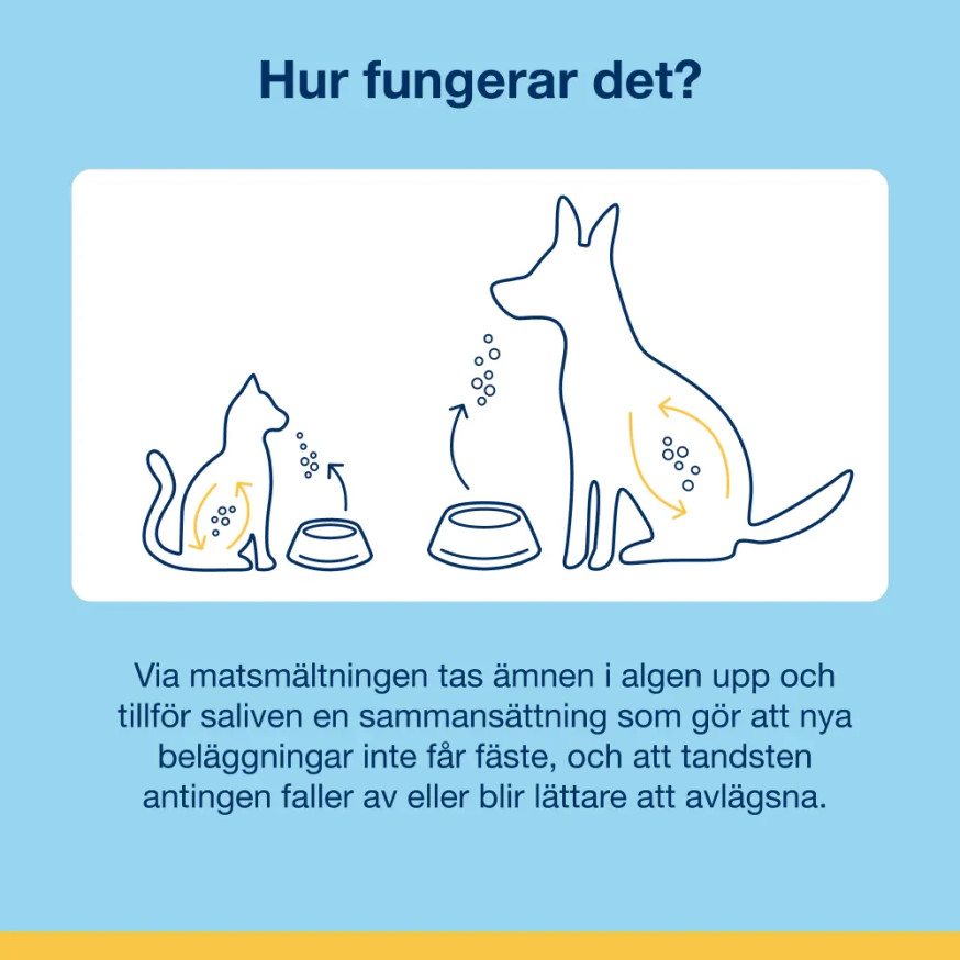 ProDen PlaqueOff® Pulver till Katt