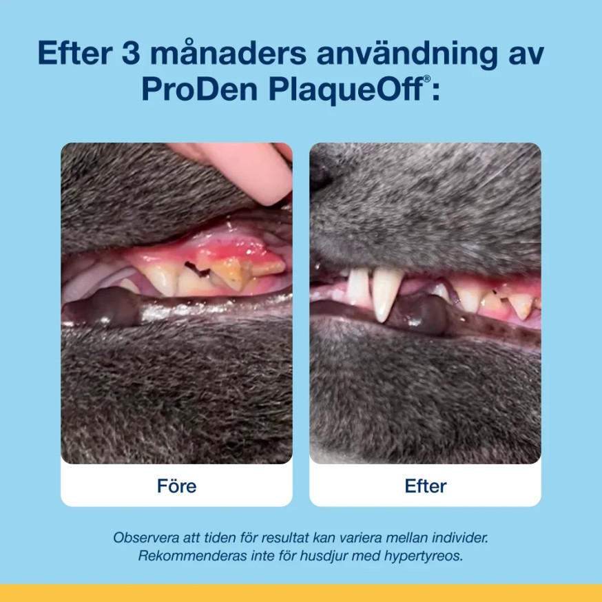 ProDen PlaqueOff® Bites till Katt