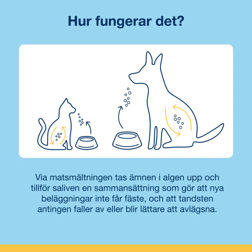ProDen PlaqueOff® Bites till Katt
