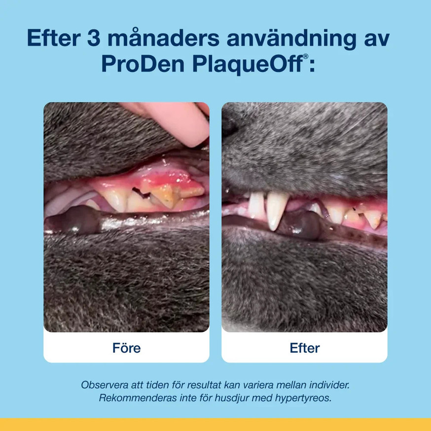ProDen PlaqueOff® Salmon Bites till Katt