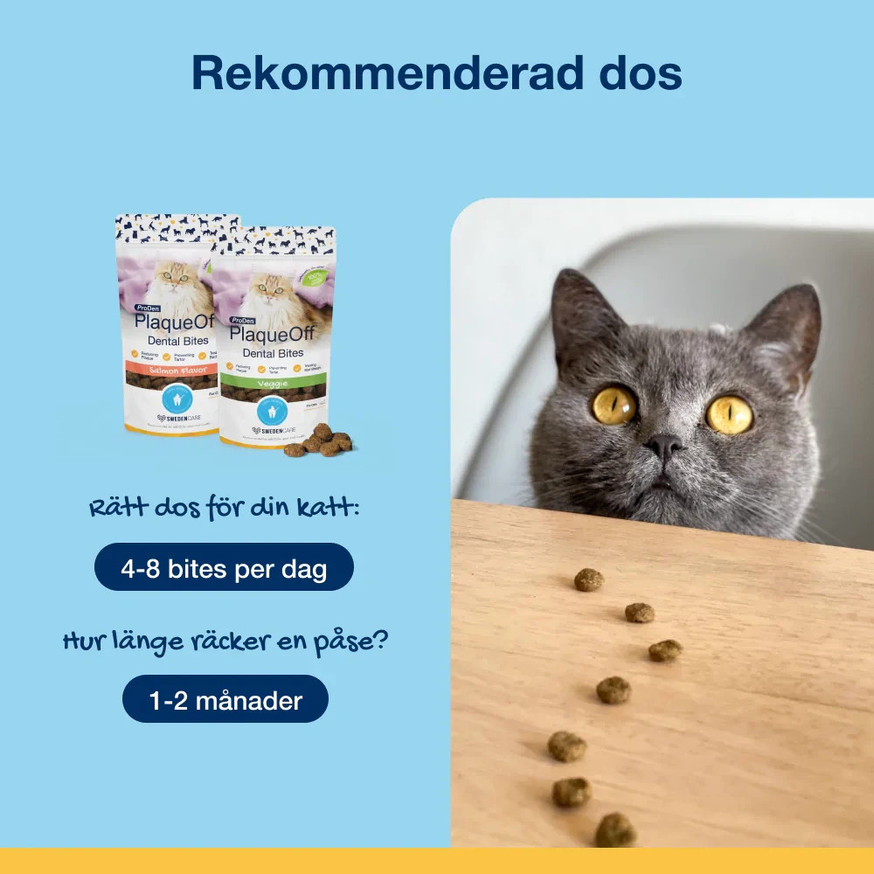 ProDen PlaqueOff® Salmon Bites till Katt