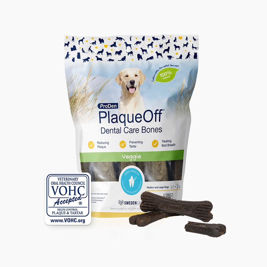 ProDen PlaqueOff® Dental Bone Tuggben till Hund