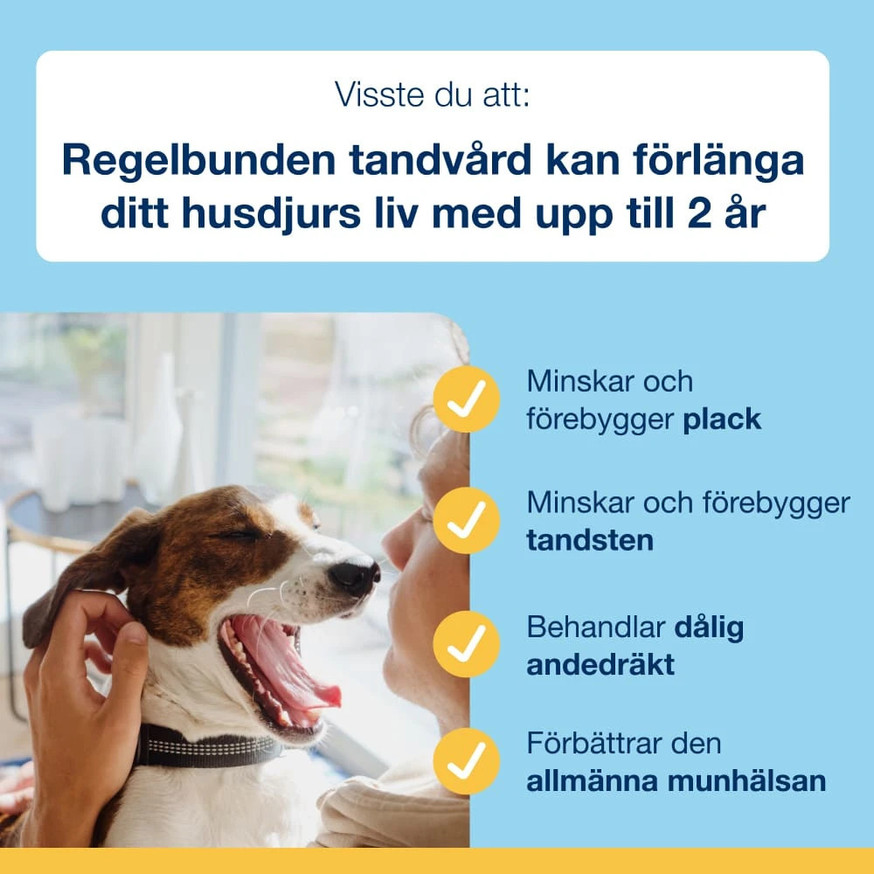 ProDen PlaqueOff® Dental Bone Bacon Tuggben till Hund