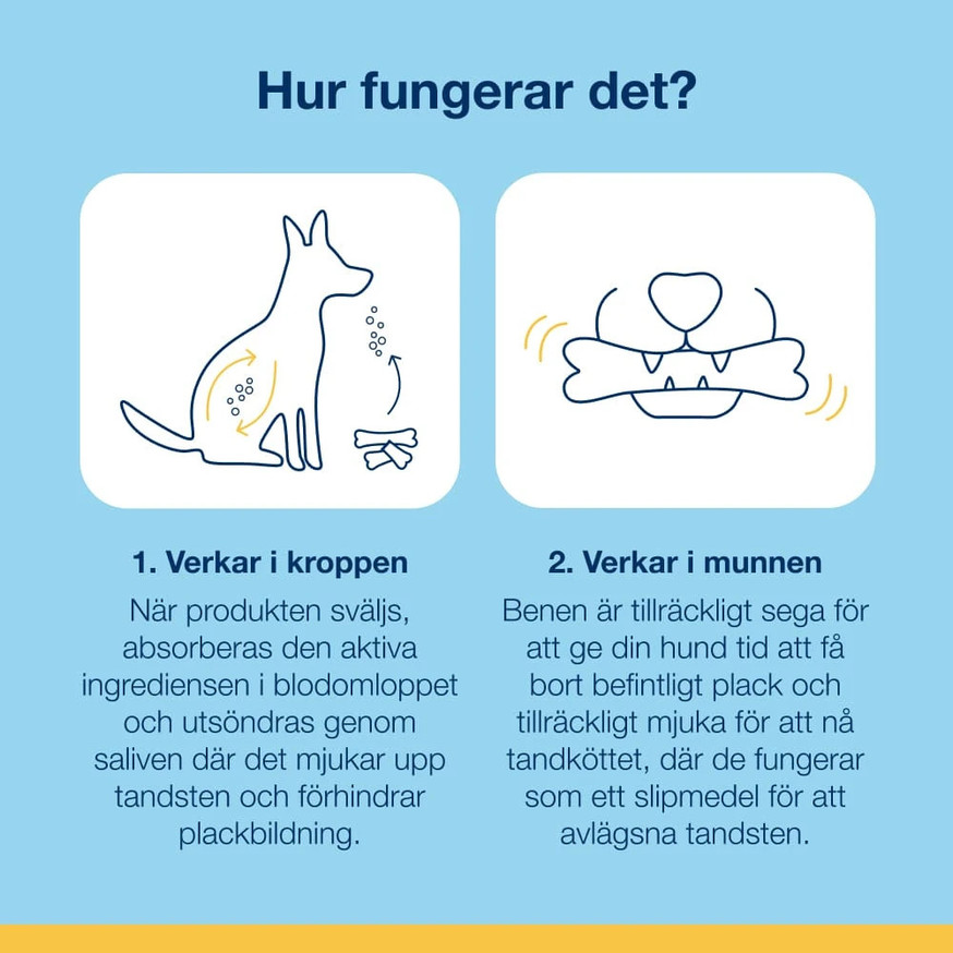 ProDen PlaqueOff® Dental Bone Bacon Tuggben till Hund