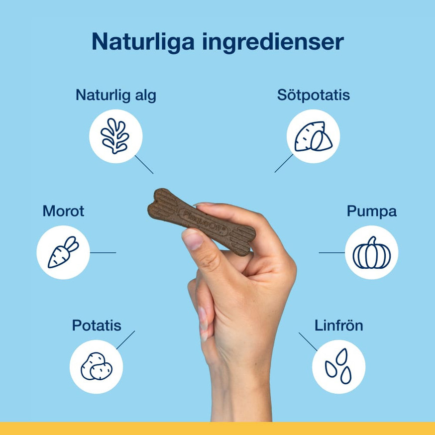 ProDen PlaqueOff® Mini Dental Bone Tuggben till Hund