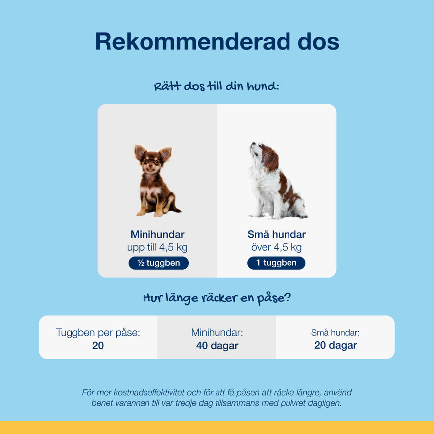 ProDen PlaqueOff® Mini Dental Bone Tuggben till Hund