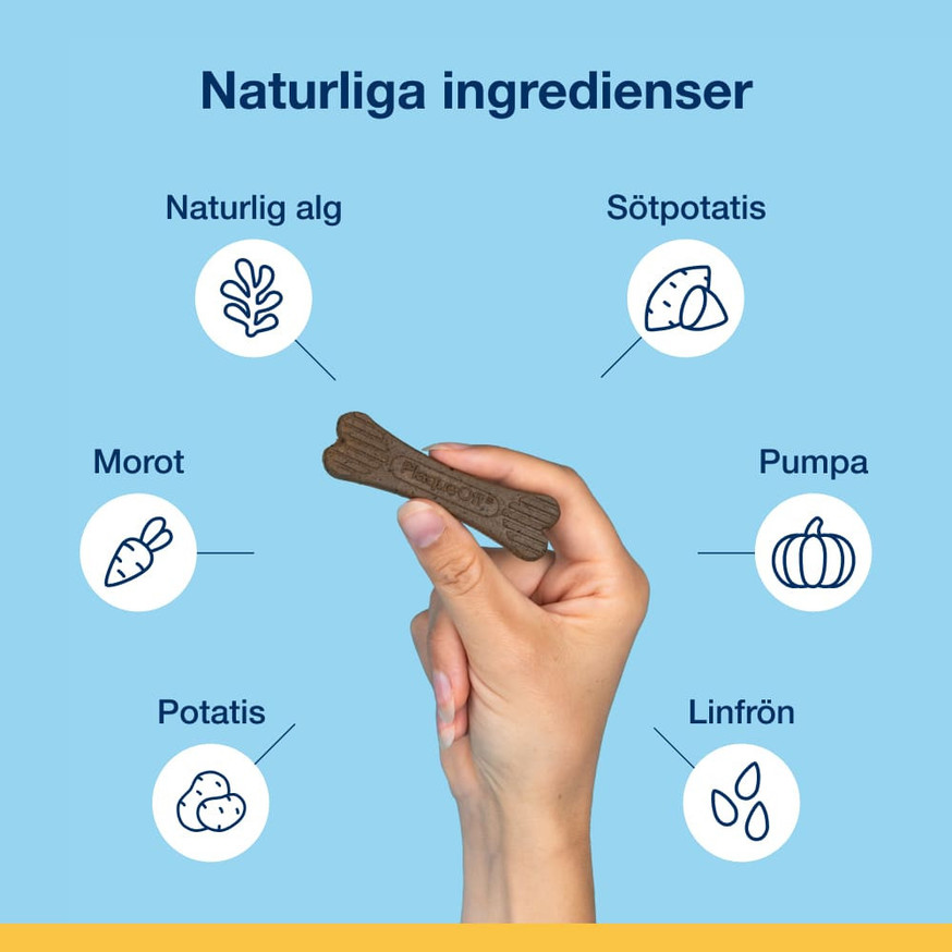 ProDen PlaqueOff® Mini Dental Bone Blåbär Tuggben till Hund