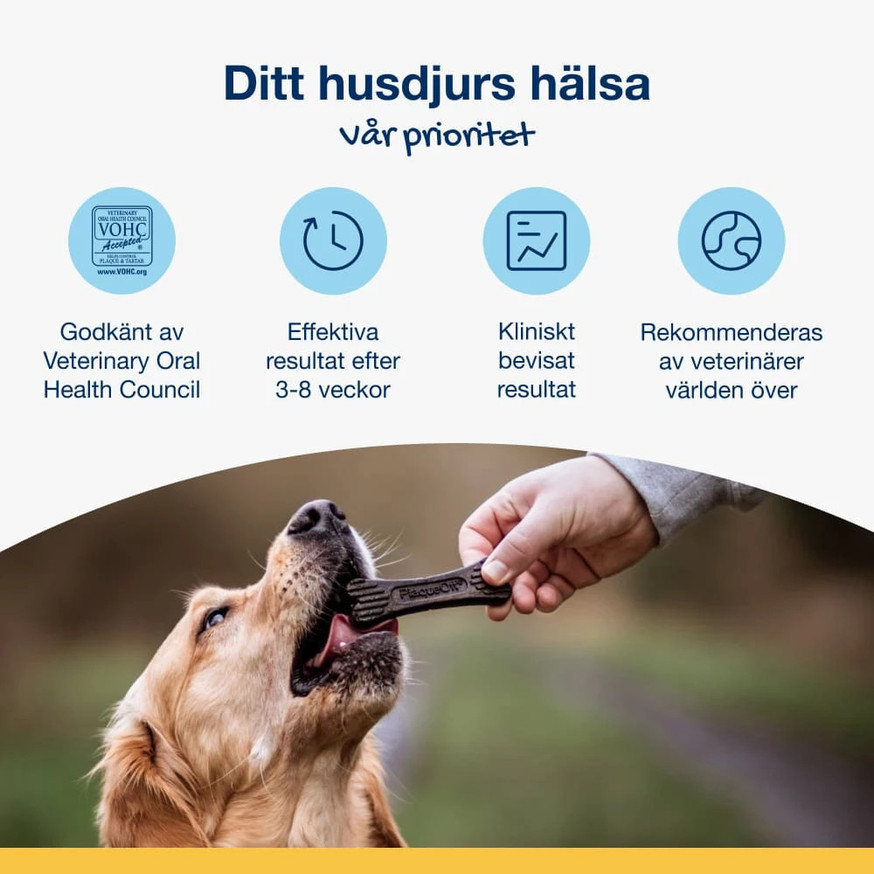ProDen PlaqueOff® Mini Dental Bone Blåbär Tuggben till Hund