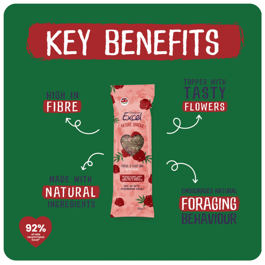 Excel Natures Snack Forage & Feast Bar Rose för Kaniner & Marsvin