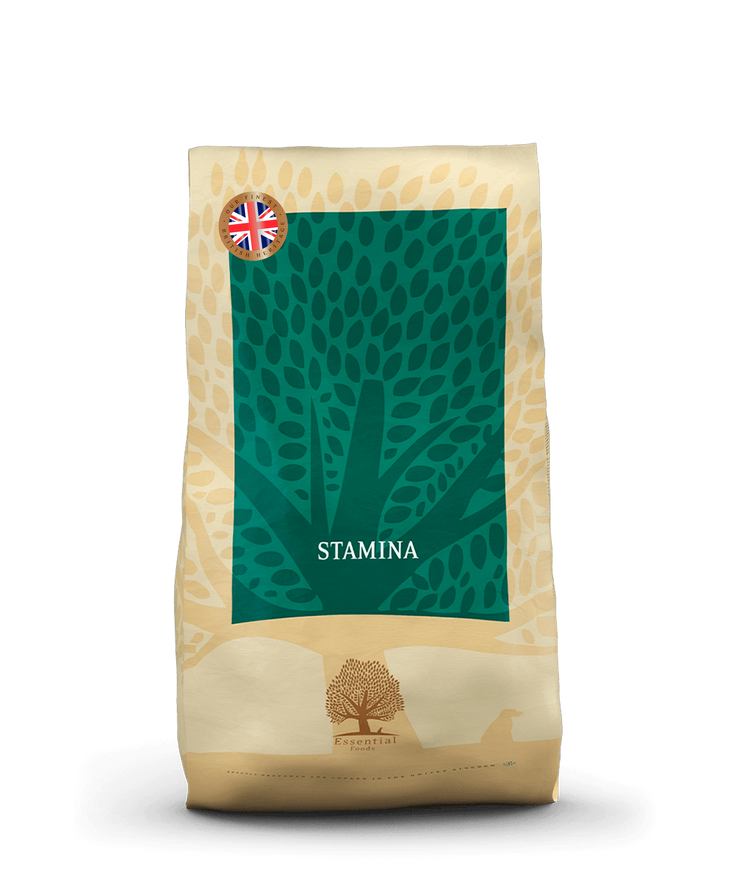 Essential Stamina Torrfoder till Hund - 10 kg