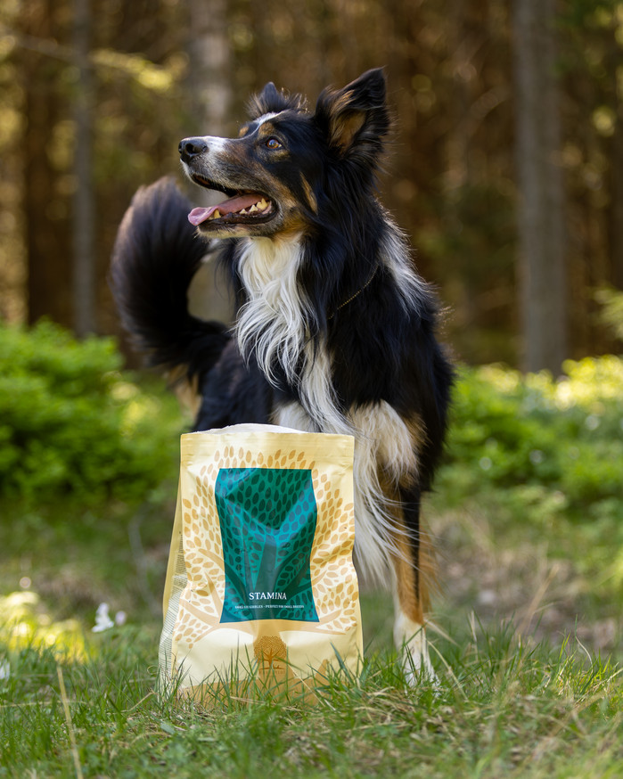 Essential Stamina Torrfoder till Hund